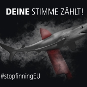 Initiative: Stop Finning − jetzt unterzeichnen!