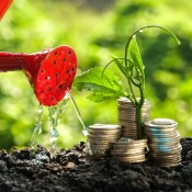 Was tut die EU gegen Greenwashing?