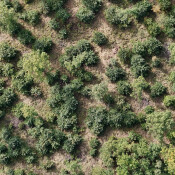 Mittelwälder: Alte Wege, neue Ziele!