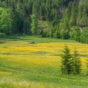 Torf- und Feuchtgebiete im Fokus