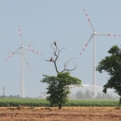 Stellungnahme zum Zonierungsentwurf Windkraft NÖ