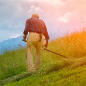 Dialog: Landwirtschaft, Klima & Artenvielfalt