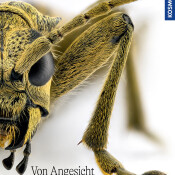 Buchtipp: Von Angesicht zu Angesicht