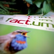 Eine neue Ausgabe unseres fact.ums kommt!