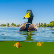 Mitmachen beim Neptun Staatspreis für Wasser