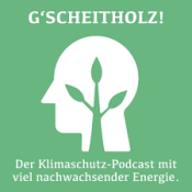 Podcast:Holzheizungen und Feinstaub im Fokus