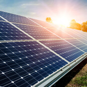 Online-Farminar: Agri-PV im Obstbau