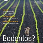 Bodenlos?