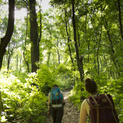 Unterstützung zur Feier der GreenBelt-Tage