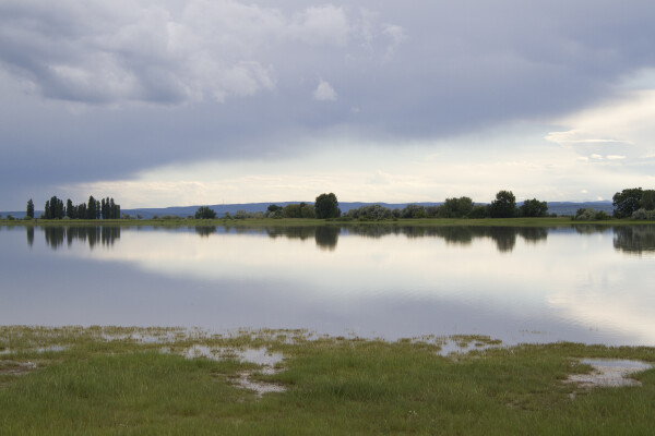 Die Stinkerlake im Neusiedler See-Seewinkel mit spiegelnder Wasseroberfläche und Wolkenhimmel.