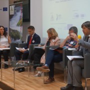 Panel Discussion Rob Williams