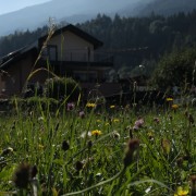 02 Foto WS Wattens c Michael Schoeppl