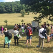 Exkursion Wienerwald c ChristianRaffetseder 18