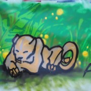 11 WS Graffiti c Naturfreunde Internationale