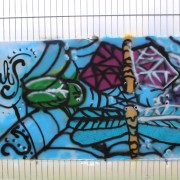 13 WS Graffiti c Naturfreunde Internationale