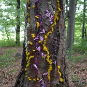 04 LandArt WS c Naturfreunde Internationale