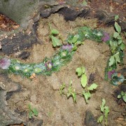 05 LandArt WS c Naturfreunde Internationale