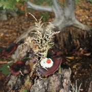 06 LandArt WS c Naturfreunde Internationale