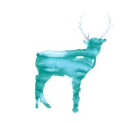 Tiere