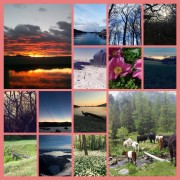 Vielfalt der Natur