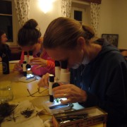 Workshop Biberburg 5