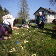 Workshop Biberburg 8