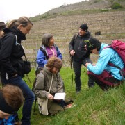 Workshop Wachau 4
