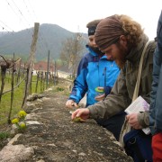 Workshop Wachau 3