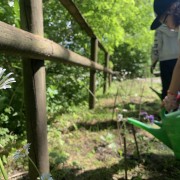 Ohne Gießen keine Blumen! (c) Umweltdachverband, Magdalena Praun