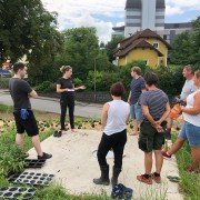 Eva Mayer gibt Infos zum Thema Biodiversität (c) Nicolas Schossleitner