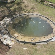 Der gerade frisch angelegte naturnahe Teich in St. Michael i. d. Obersteiermark (c) Michaela Pansi