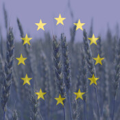Nature Restoration Law nimmt wichtige Hürde